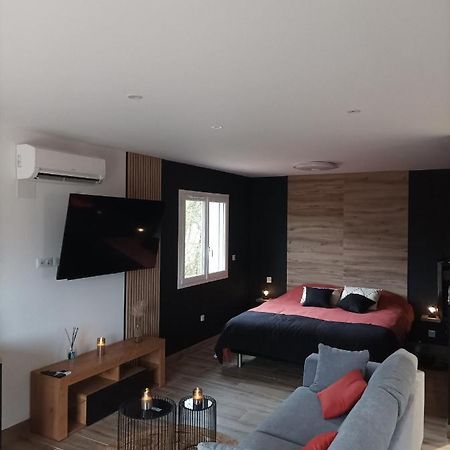 Loft Sauna Jacuzzi Ospariegeois Lavelanet Exteriér fotografie