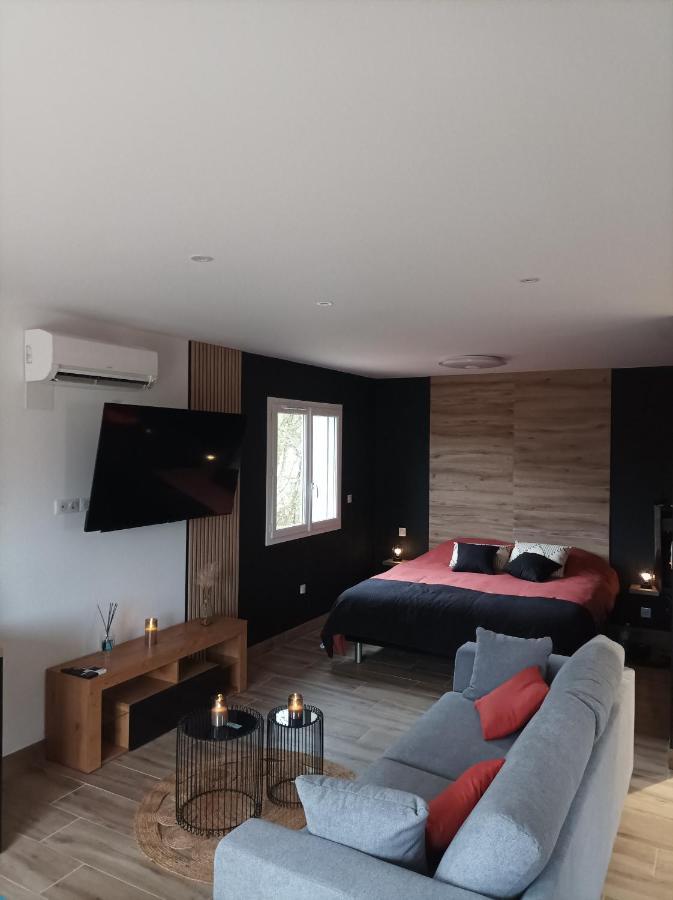 Loft Sauna Jacuzzi Ospariegeois Lavelanet Exteriér fotografie
